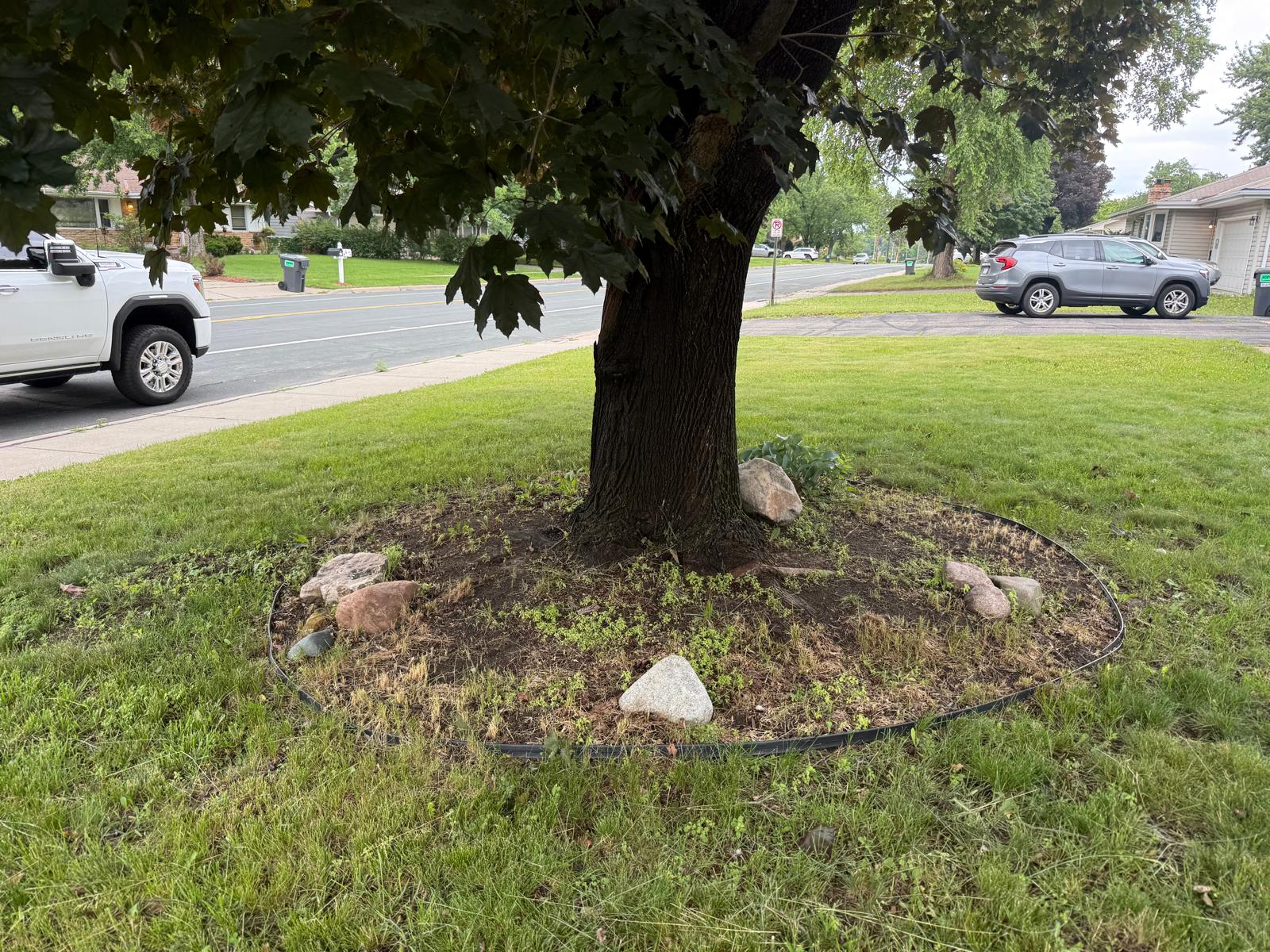 Tree Ring Rock Bed — before